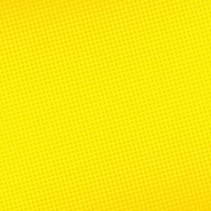 Meet your Posher, Bella